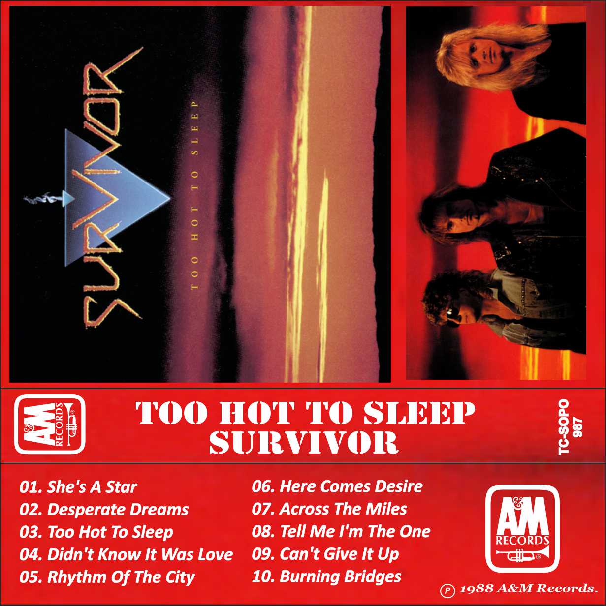 Survivor-Too hot to sleep